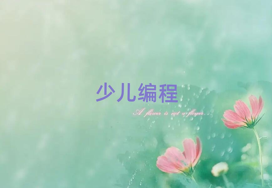 北京少兒編程培訓學校