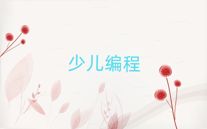 長沙小兒編程培訓(xùn)學(xué)校