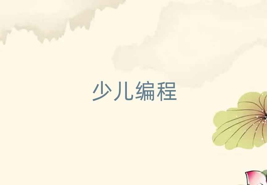 柳州哪能學青少年學編程