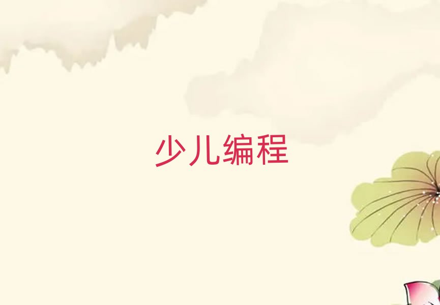 2020年石家莊橋西區在哪學小學生編程