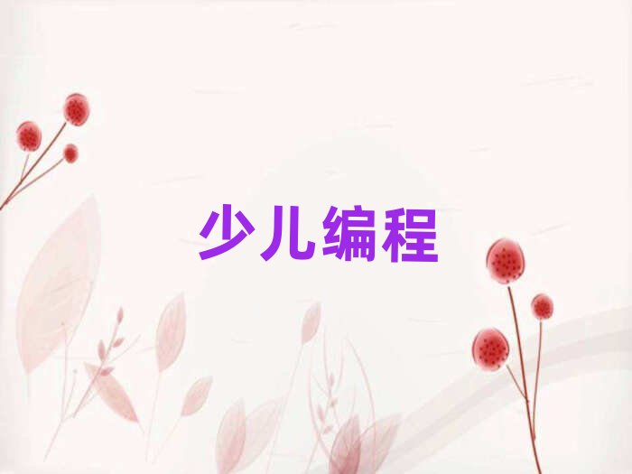 2020年北京學(xué)小學(xué)生編程好的學(xué)校