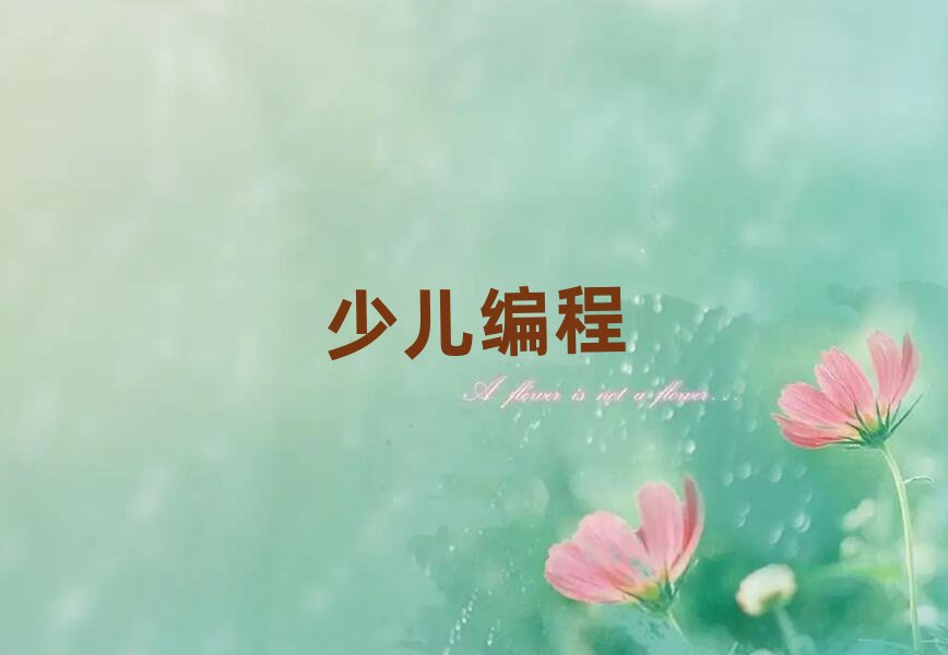 中學(xué)生編程