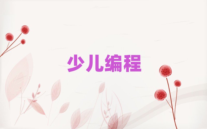 長沙青少年編程培訓學校