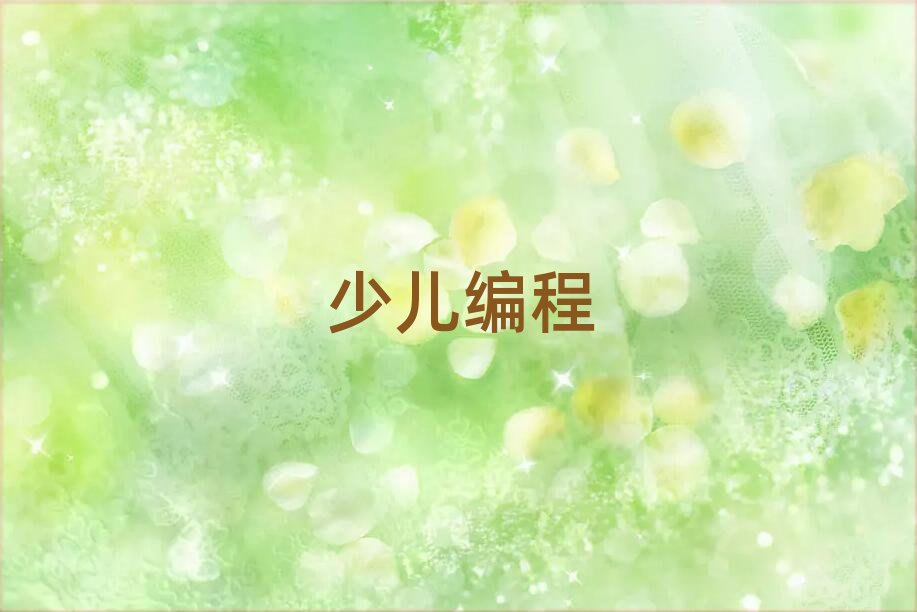 中學(xué)生編程