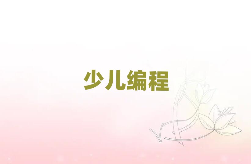 長沙學中學生編程哪個好