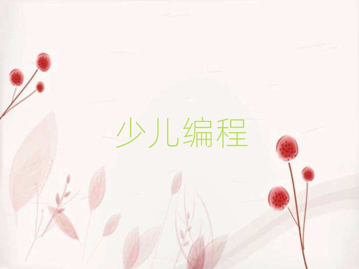 貴陽少兒編程培訓學校