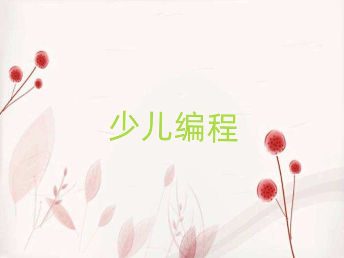 蚌埠少兒編程培訓(xùn)學(xué)校