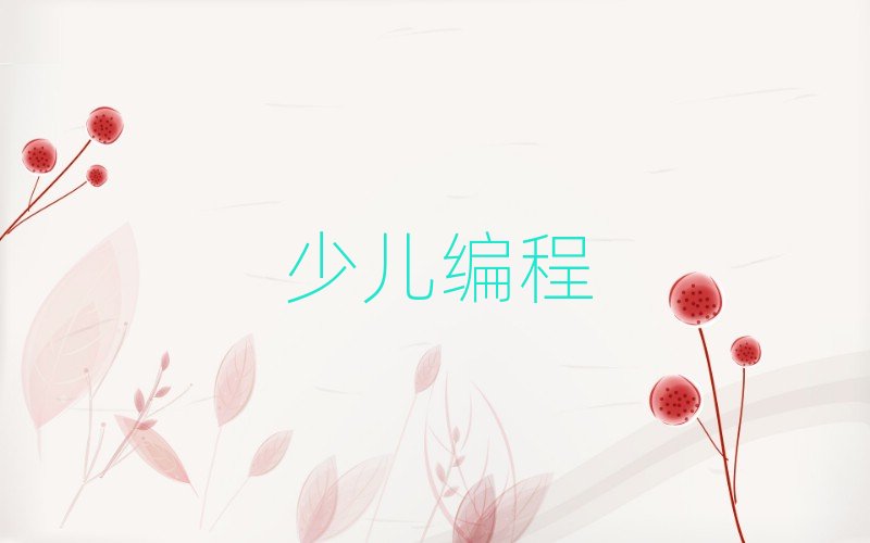 柳州少兒編程培訓學校