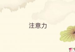 2025hS^(q)كעӖ(xn)ęC(gu)
