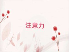 2025L(zhng)ɳעЌW(xu)УЩ