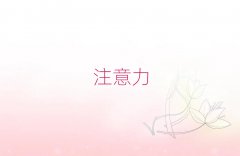 K݌WעӖҪLrg