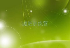 2025麣ħʽpӖ(xn)I(yng)