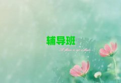 2025ꖳZor