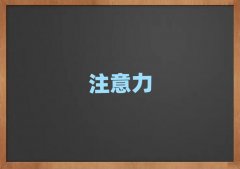 2025걱W˹YӖČWУǰʮ