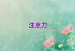 2025ƽ^(q)ǰʮӅW(xu)