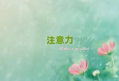 hкӅWCʮ΅R