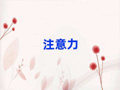 2025°걱WكWϵKҪٌWMxγt