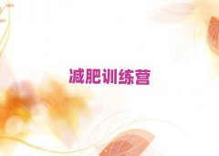 P10]ʽpӖICι