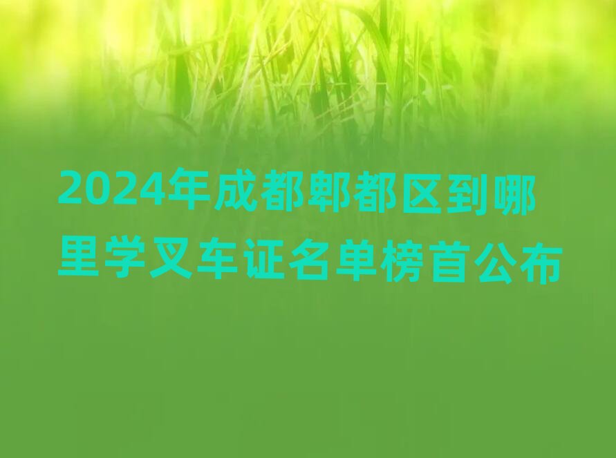 2024ɶۯ^(q)W܇Cΰ׹