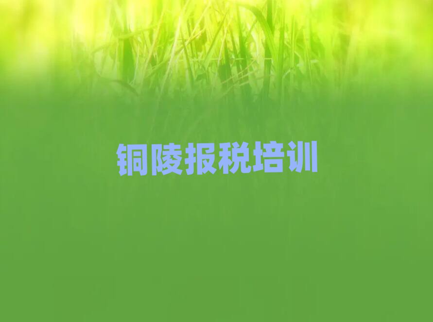 銅陵財(cái)稅培訓(xùn)班有哪些排名top10