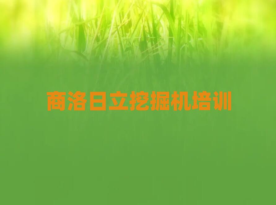 2024݅^(q)ھCW(wng)όWΰ׹