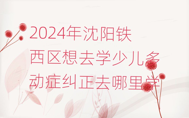 2024年沈陽鐵西區(qū)想去學(xué)少兒多動(dòng)癥糾正去哪里學(xué)