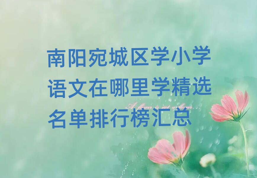 南陽宛城區(qū)學(xué)小學(xué)語文在哪里學(xué)精選名單排行榜匯總