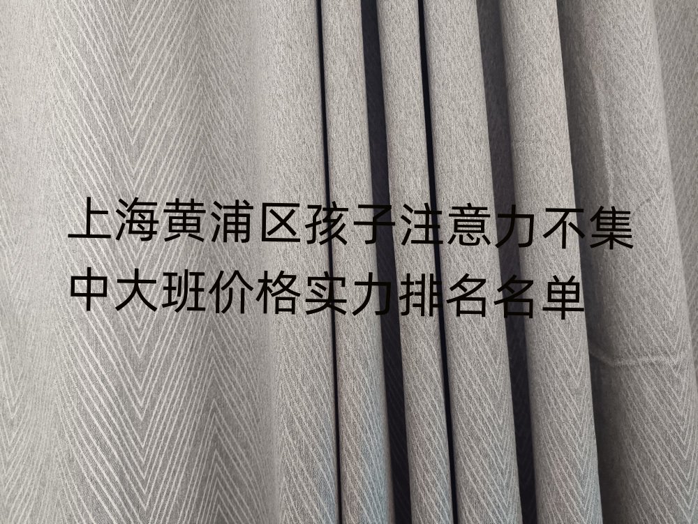 上海黃浦區(qū)孩子注意力不集中大班價(jià)格實(shí)力排名名單