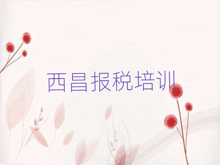 1月西昌財(cái)稅有沒有好的財(cái)稅培訓(xùn)班推薦推薦一覽