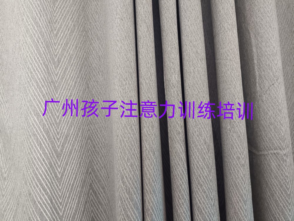 廣州番禺區孩子注意力訓練自學網站排名一覽表