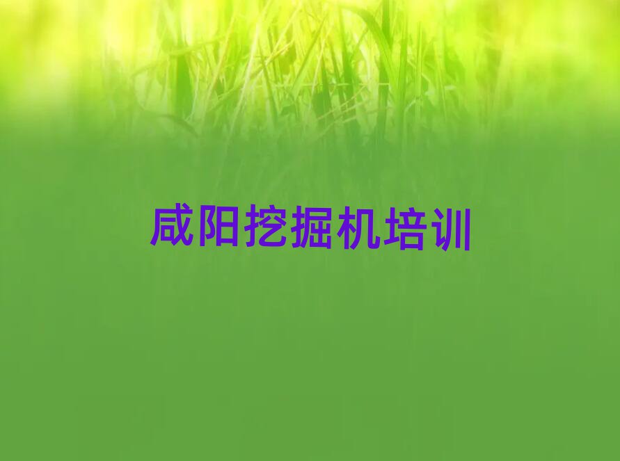 2025μǅ^FھCӖĂδȫһ[