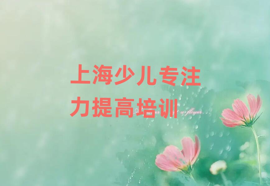 上海少兒專注力提高班榜單一覽推薦排行榜