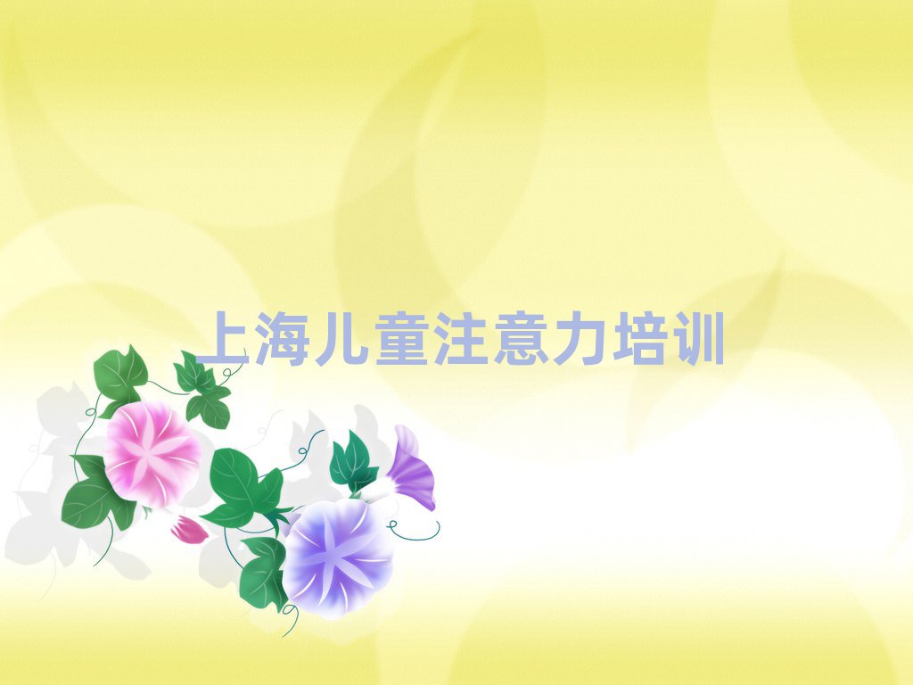 上海少兒專注力提高班榜單一覽推薦排行榜