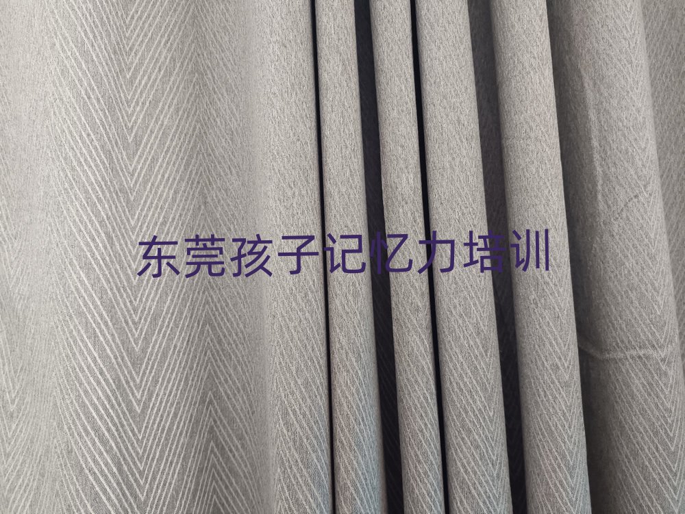 2025年?yáng)|莞孩子記憶力培訓(xùn)機(jī)構(gòu)優(yōu)惠活動(dòng)