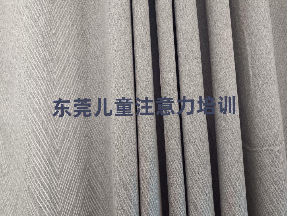 2025年東莞孩子記憶力培訓學費一般多少排名前十