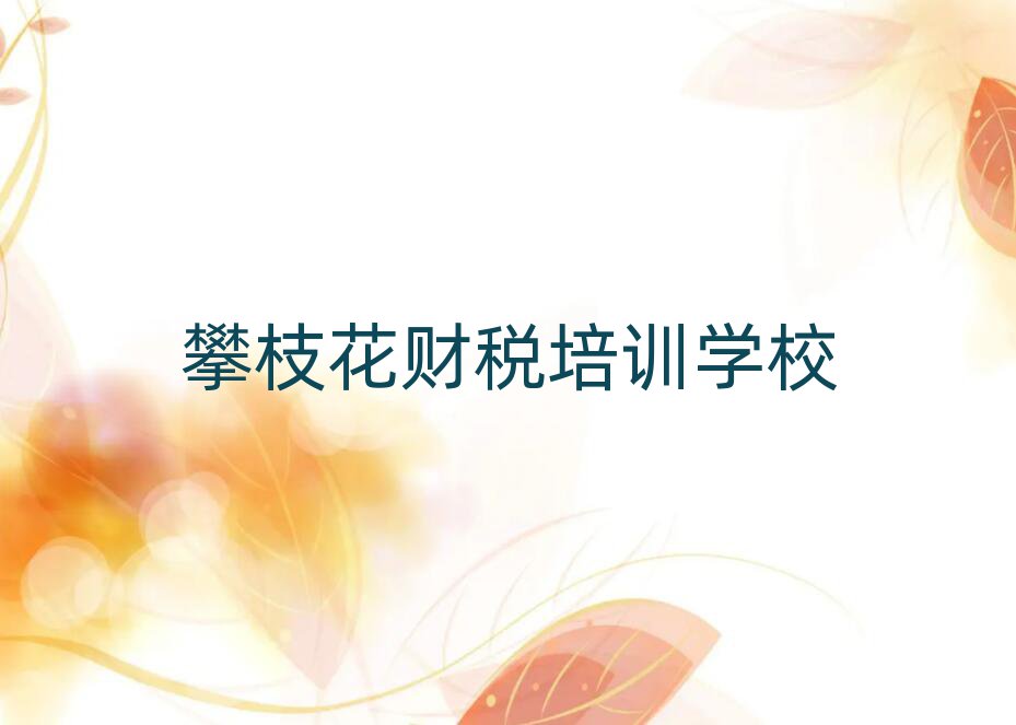 攀枝花仁和區財稅培訓需要注意的問題有哪些