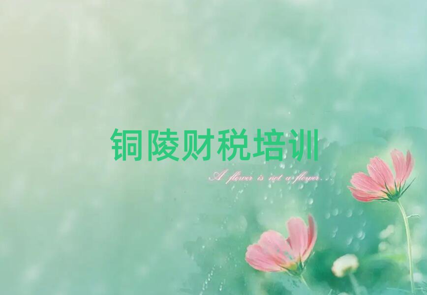 4月銅陵培訓財稅的機構推薦一覽