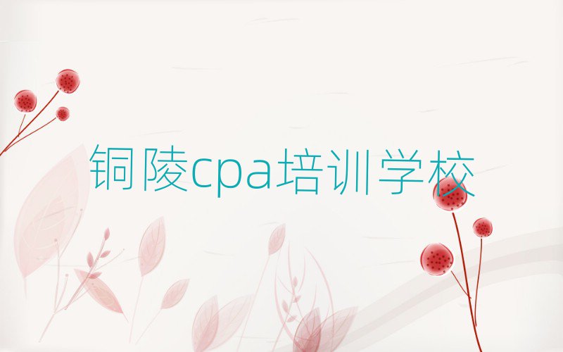 2025年銅陵郊區學cpa費用需要多少錢