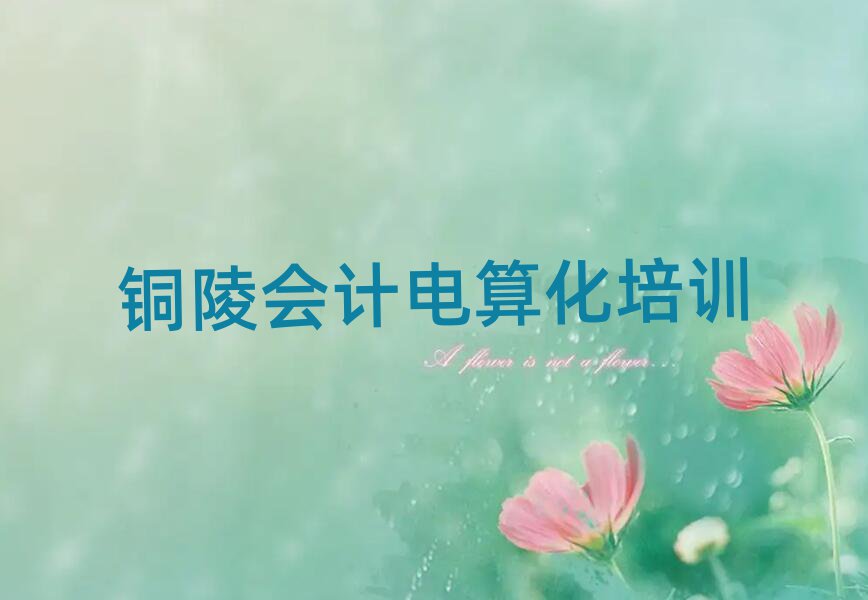 ~x^Ӌ㻯ӖٳɰWMXǰʮ