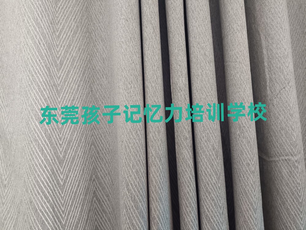 2025年東莞孩子記憶力培訓哪兒比較好一點