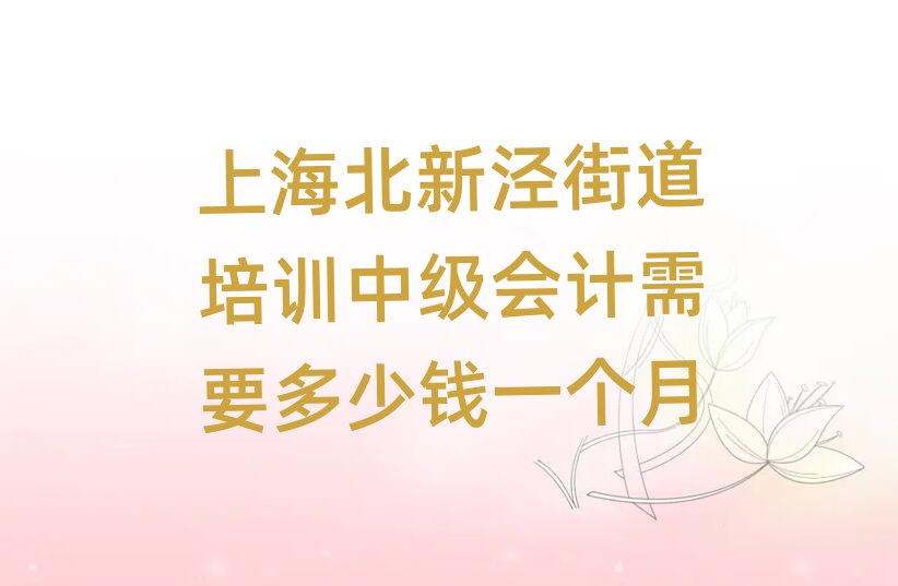 上海北新涇街道培訓中級會計需要多少錢一個月