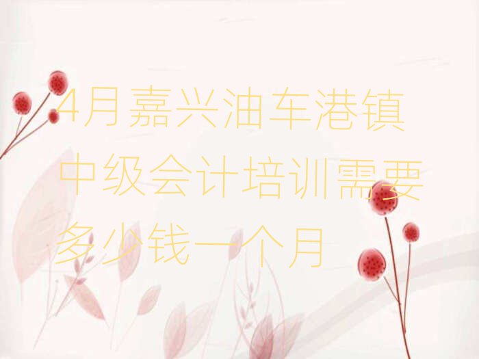 4月嘉興油車港鎮(zhèn)中級會計培訓需要多少錢一個月