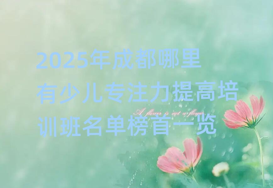 2025年成都哪里有少兒專注力提高培訓班名單榜首一覽
