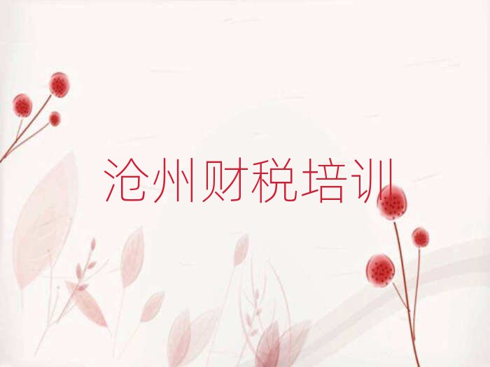 2025年滄州新華區財稅好的財稅培訓課
