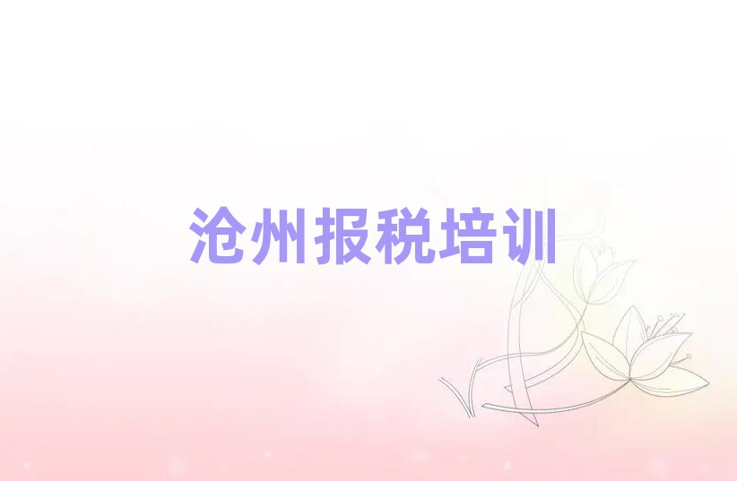 2025年滄州新華區財稅好的財稅培訓課