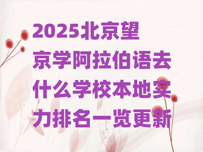 2025WZȥʲôWУ،һ[