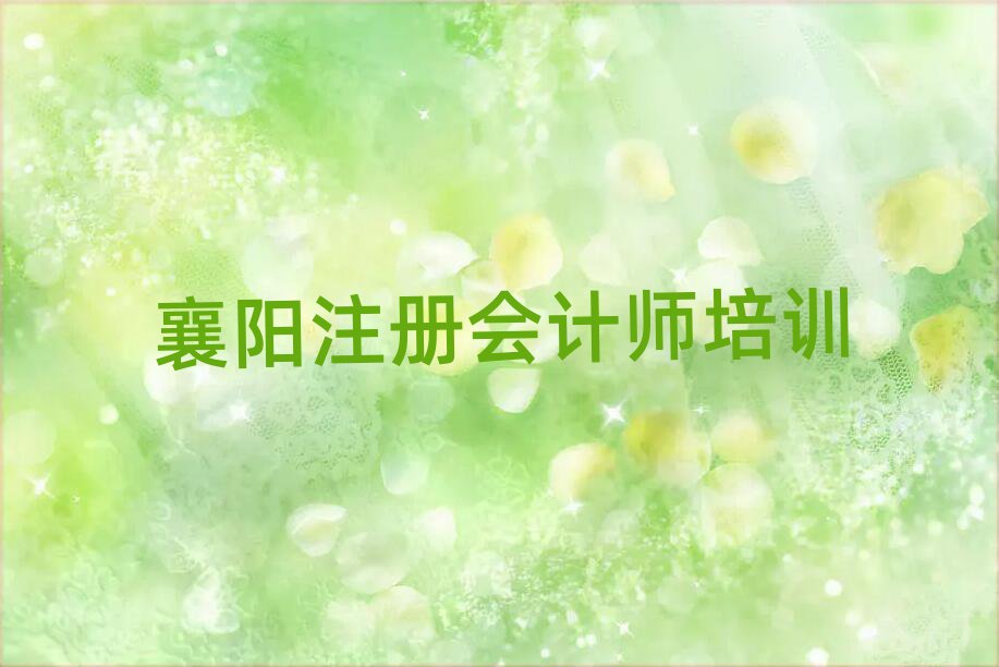 襄陽樊城區學注冊會計師的學校哪個好實力排名名單
