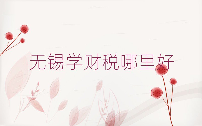 無錫學(xué)財(cái)稅哪里好