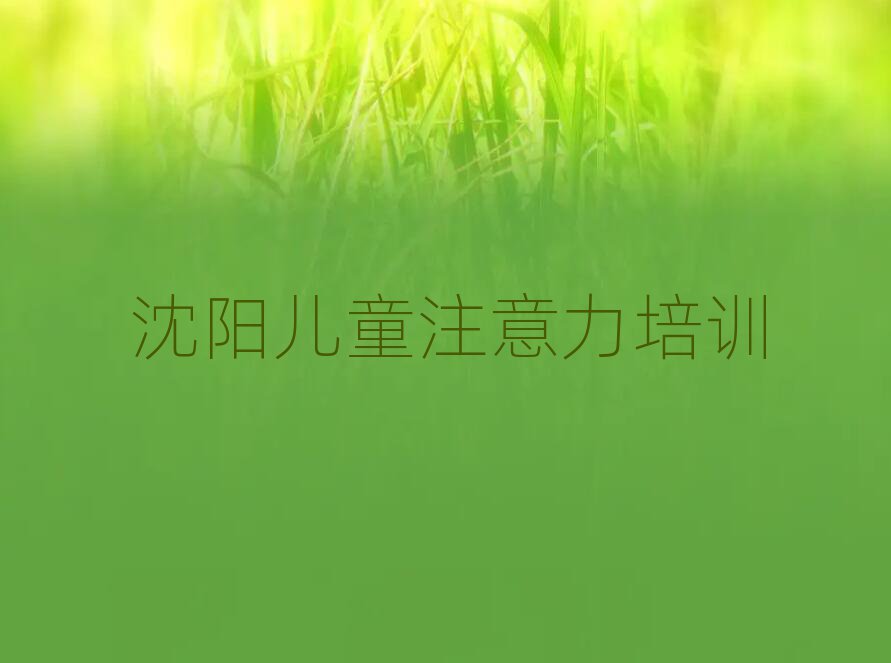 2025年沈陽少兒注意力訓練培訓說明