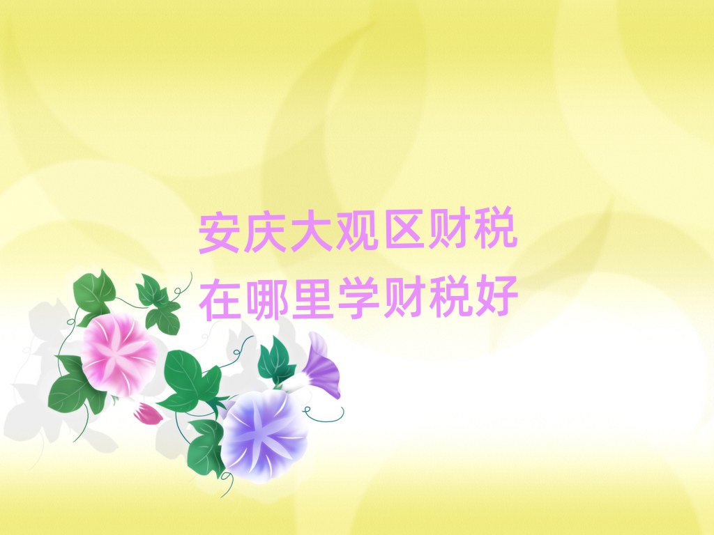 安慶大觀區財稅在哪里學財稅好
